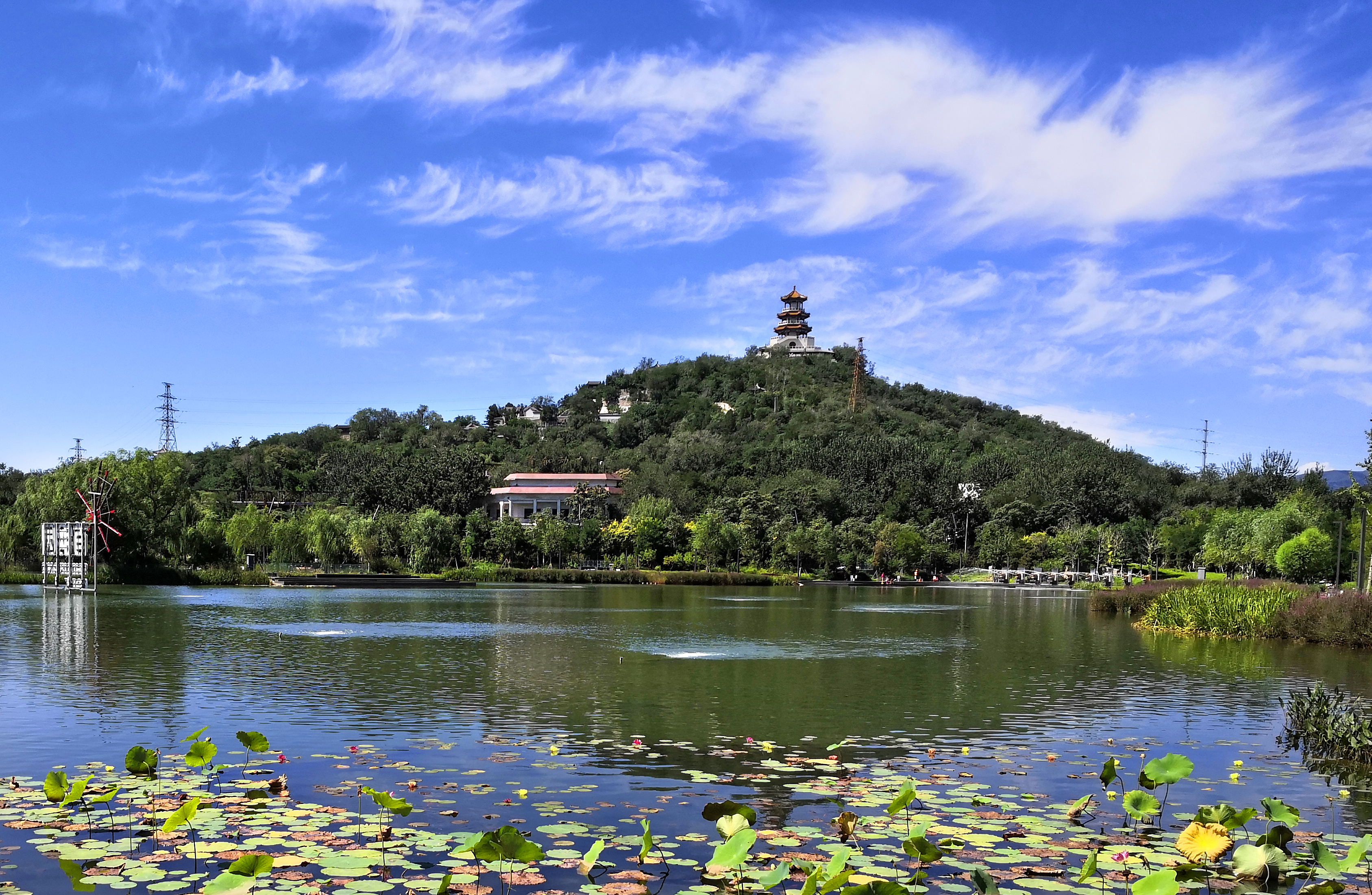 德阳云智财税代理记账许可证书,旌阳区财政局核发.jpg 德阳云智财税代理记账许可证书,旌阳区财政局核发.jpg